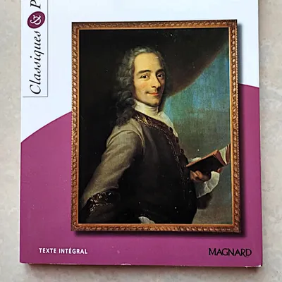 Livre Candide ou L'Optimisme De Voltaire